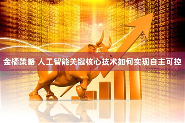 金橘策略 人工智能关键核心技术如何实现自主可控
