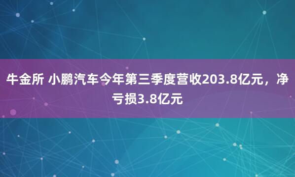 牛金所 小鹏汽车今年第三季度营收203.8亿元，净亏损3.8亿元