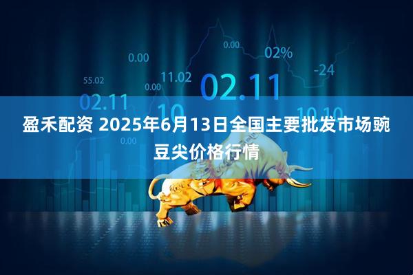 盈禾配资 2025年6月13日全国主要批发市场豌豆尖价格行情
