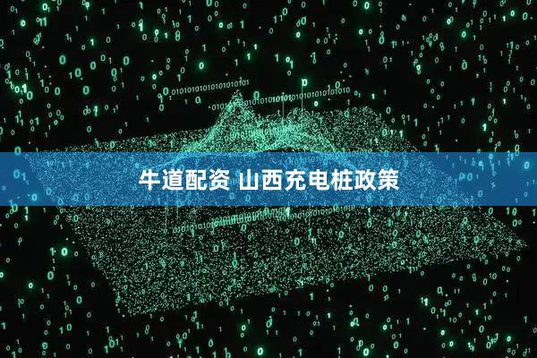 牛道配资 山西充电桩政策